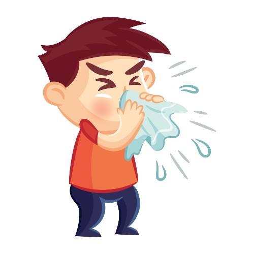 تفاوت آلرژی با سرماخوردگی و همه آنچه که باید راجب آن بدانیم