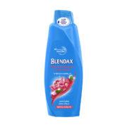 شامپو موهای رنگ شده بلنداکس Blendax